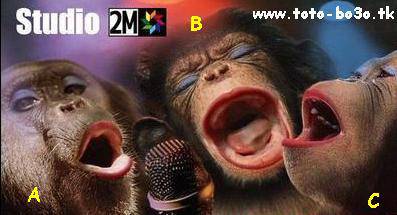 studio 2m ds �a 3eme